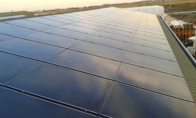 Large number of solar panels installed on top of a warehouse in Cambridgeshire